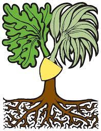 The Heraldry & Genealogy Society of Canberra Inc